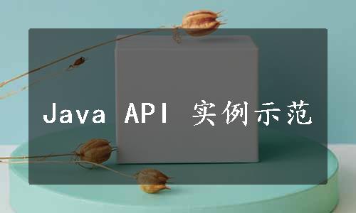 Java API 实例示范