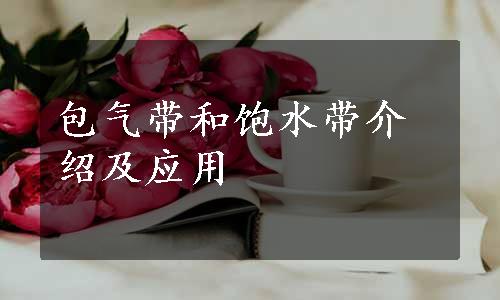 包气带和饱水带介绍及应用