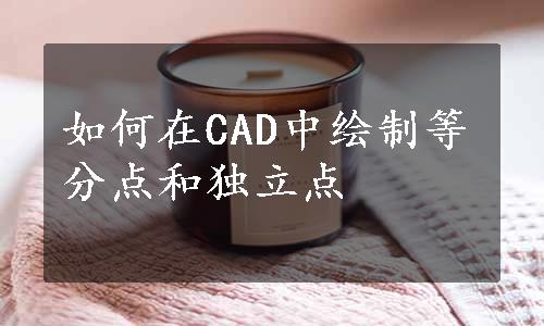 如何在CAD中绘制等分点和独立点