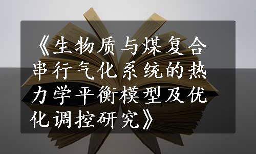 《生物质与煤复合串行气化系统的热力学平衡模型及优化调控研究》