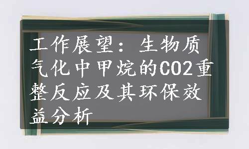 工作展望：生物质气化中甲烷的CO2重整反应及其环保效益分析