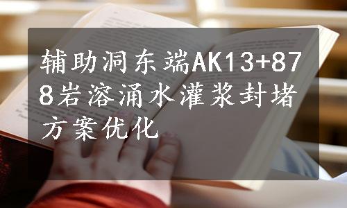 辅助洞东端AK13+878岩溶涌水灌浆封堵方案优化