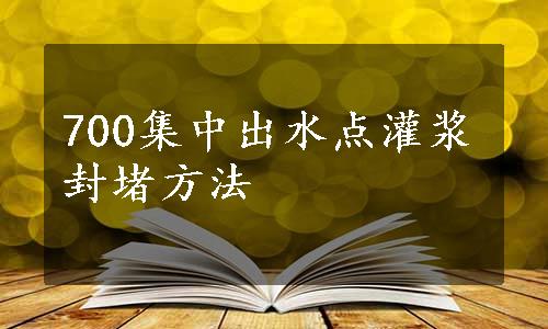 700集中出水点灌浆封堵方法