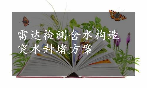 雷达检测含水构造突水封堵方案