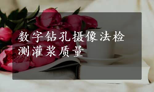 数字钻孔摄像法检测灌浆质量