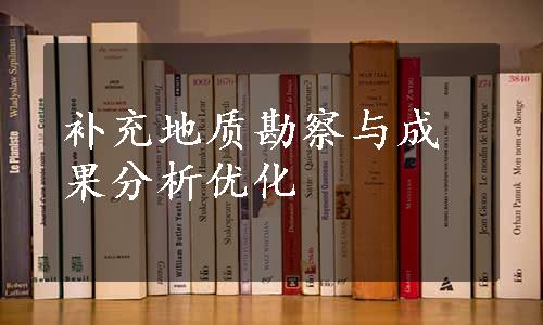 补充地质勘察与成果分析优化