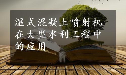 湿式混凝土喷射机在大型水利工程中的应用