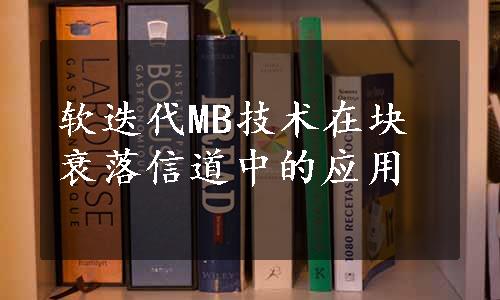 软迭代MB技术在块衰落信道中的应用