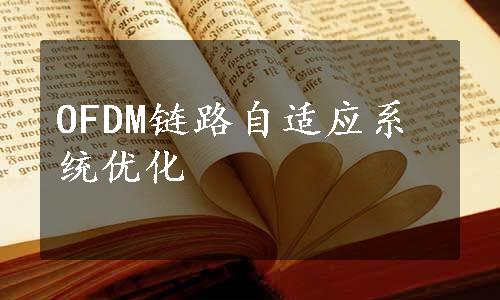 OFDM链路自适应系统优化