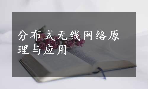 分布式无线网络原理与应用