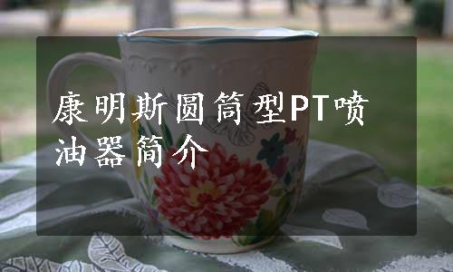 康明斯圆筒型PT喷油器简介