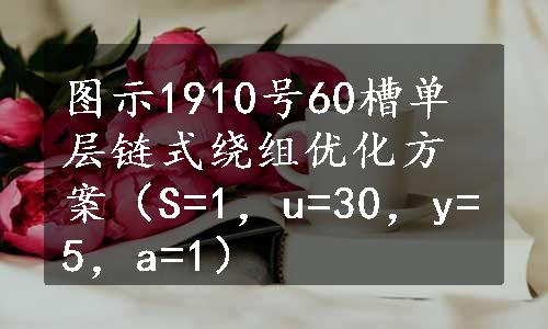 图示1910号60槽单层链式绕组优化方案（S=1，u=30，y=5，a=1）