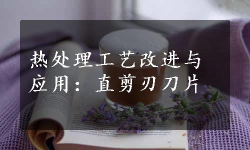 热处理工艺改进与应用：直剪刃刀片