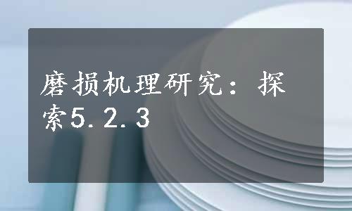 磨损机理研究：探索5.2.3