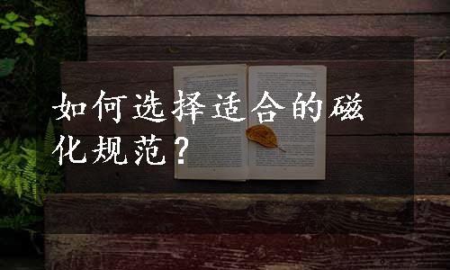 如何选择适合的磁化规范？