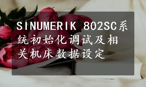 SINUMERIK 802SC系统初始化调试及相关机床数据设定