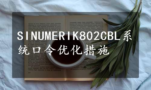 SINUMERIK802CBL系统口令优化措施