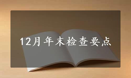 12月年末检查要点