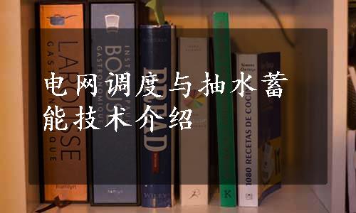 电网调度与抽水蓄能技术介绍