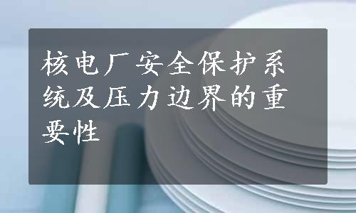 核电厂安全保护系统及压力边界的重要性