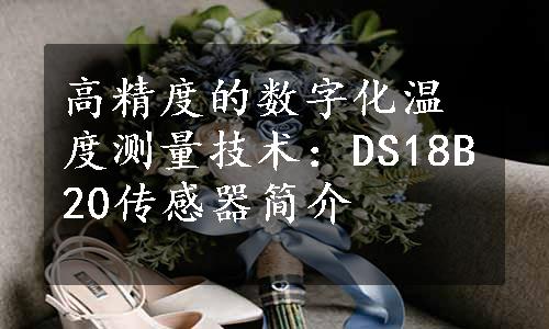 高精度的数字化温度测量技术：DS18B20传感器简介