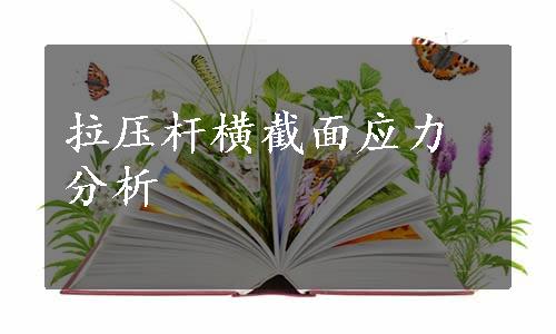 拉压杆横截面应力分析