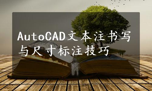 AutoCAD文本注书写与尺寸标注技巧