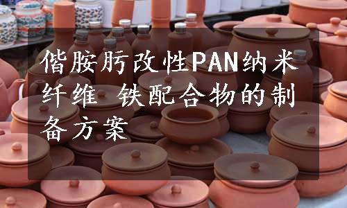 偕胺肟改性PAN纳米纤维 铁配合物的制备方案