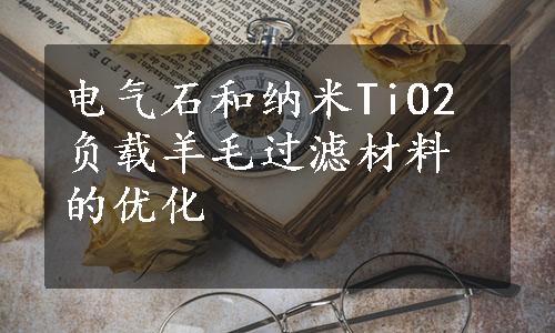 电气石和纳米TiO2负载羊毛过滤材料的优化