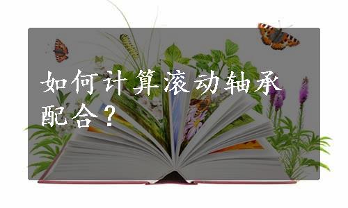 如何计算滚动轴承配合？