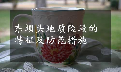 东坝头地质险段的特征及防范措施