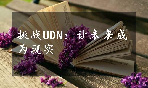 挑战UDN：让未来成为现实