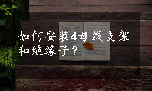 如何安装4母线支架和绝缘子？