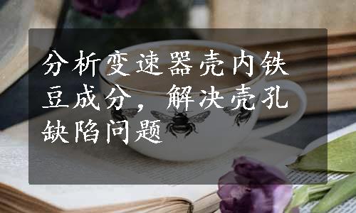 分析变速器壳内铁豆成分，解决壳孔缺陷问题