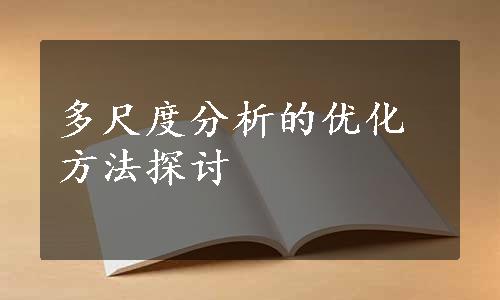 多尺度分析的优化方法探讨