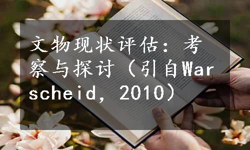 文物现状评估：考察与探讨（引自Warscheid，2010）