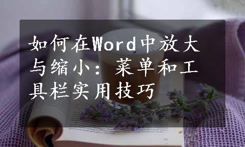 如何在Word中放大与缩小：菜单和工具栏实用技巧