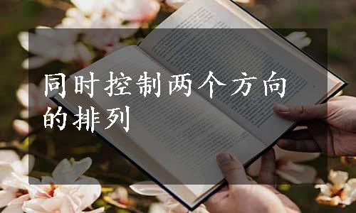 同时控制两个方向的排列