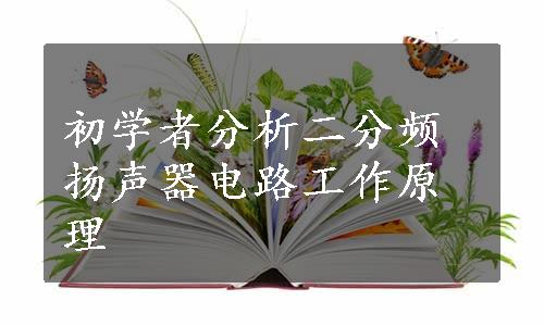 初学者分析二分频扬声器电路工作原理