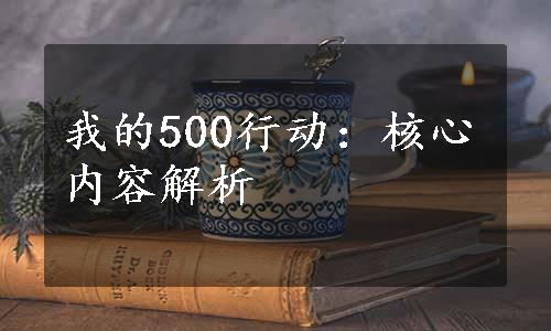 我的500行动：核心内容解析