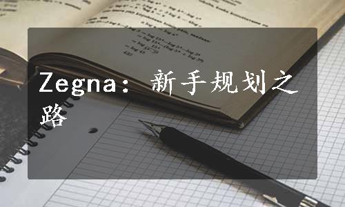 Zegna：新手规划之路