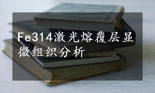 Fe314激光熔覆层显微组织分析