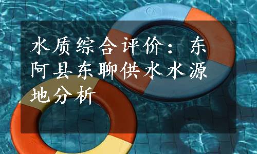 水质综合评价：东阿县东聊供水水源地分析