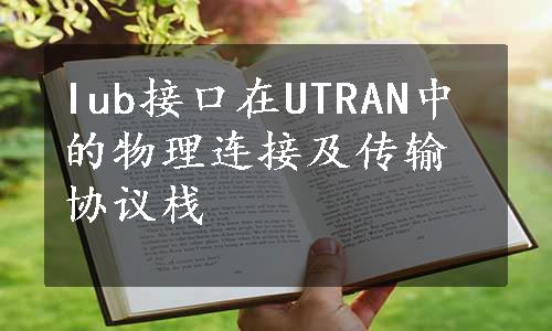 Iub接口在UTRAN中的物理连接及传输协议栈