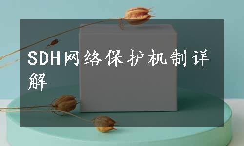 SDH网络保护机制详解