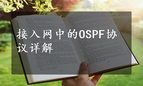 接入网中的OSPF协议详解