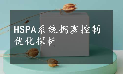 HSPA系统拥塞控制优化探析