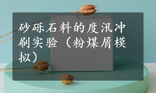 砂砾石料的度汛冲刷实验（粉煤屑模拟）