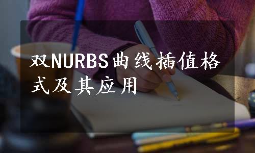 双NURBS曲线插值格式及其应用