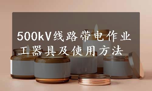 500kV线路带电作业工器具及使用方法